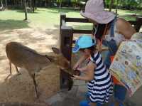 Alpaca Hill อ. สวนผึ้ง จ. ราชบุรี