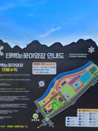 야외수영장이 넘사벽인 🤍태백눈꽃야영장