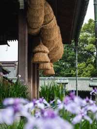 【光の道に導かれて✨】宮地嶽神社で神秘と絶景の旅