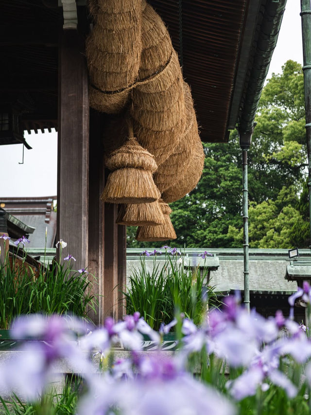 【光の道に導かれて✨】宮地嶽神社で神秘と絶景の旅