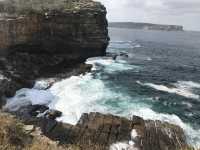 🌅 Watsons Bay – Laid-back Coastal Charm with Harbour Views