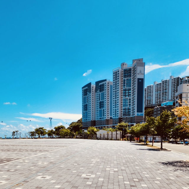 Songdo Ocean Park, Busan: A Waterfront Haven with Artistic Touches