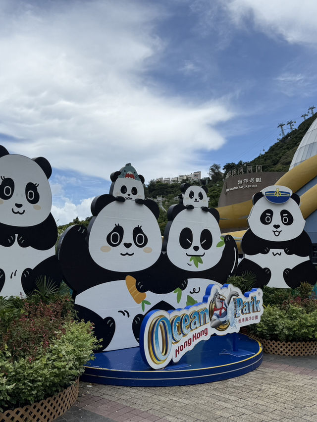 香港海洋公園🥰必睇新出世熊貓🐼回憶必坐纜車🚡