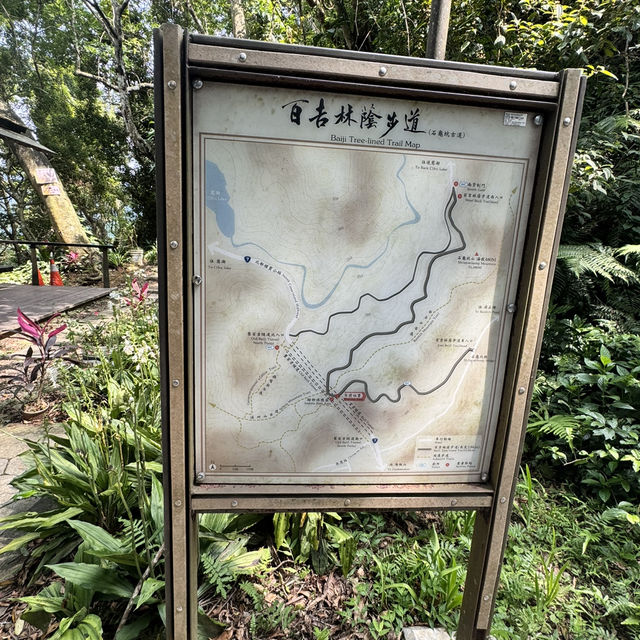 石龜坑山古道巡禮