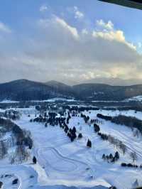 겨울에 떠날 토마무여행 계획 렛츠고🏂🛷