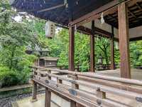 京都 | 梨木神社，開滿幸運草和名水的靜謐神社