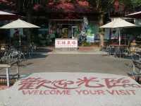 高雄農場小旅行：走入田野間的療癒時光