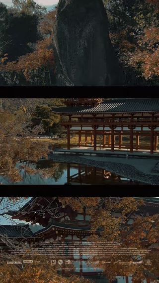 Morning Reflections at Byōdō-in: Quiet Beauty in Uji