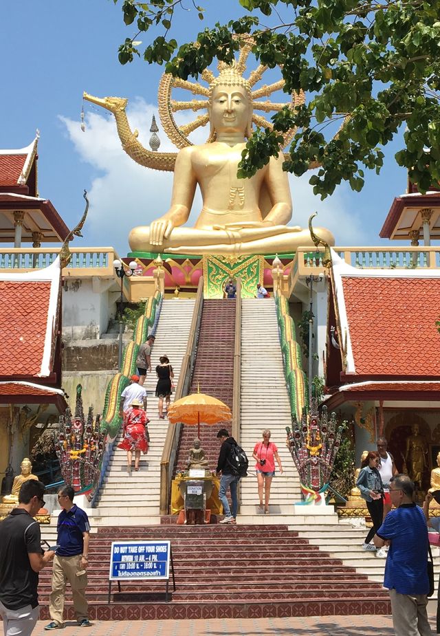 🌞 Koh Samui’s Big Buddha Temple — Peace, Planes & Coconut Breaks 🛕🥥✈️