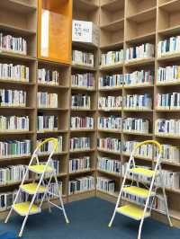📚 비 오고 더운 여름 딱! 울산도서관 실내 데이트코스 ✨