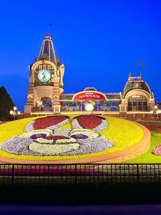 Magic for All Ages: Why Shanghai Disneyland Delights Kids and Adults Alike
