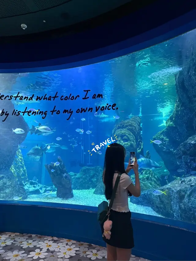 📍ซีไลฟ์แบงคอก : ฮีลใจ1วัน