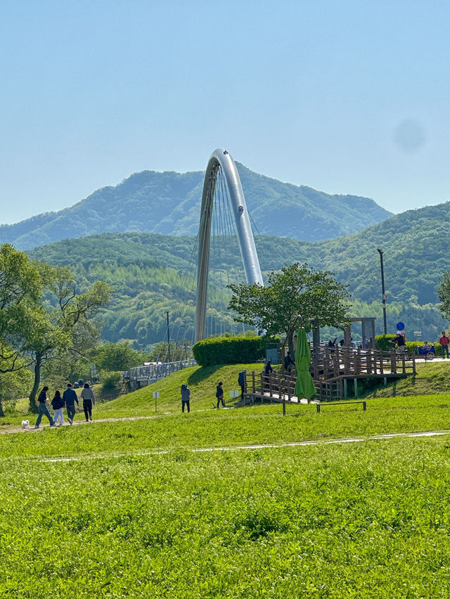 남양주/양평 당일치기로 가기 좋은 물의정원 🌳
