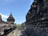 【インドネシア】ボロブドゥール寺院で歴史に思いを馳せる旅