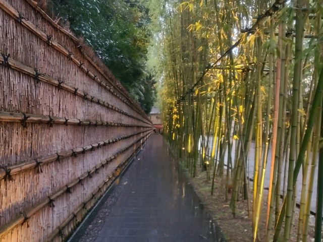TEA HOUSE FUJU(ティーラウンジ楓樹) Japanese Afternoon Tea(일본풍 애프터눈티)