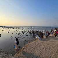 Go Slow, Spend a night in Xidao!