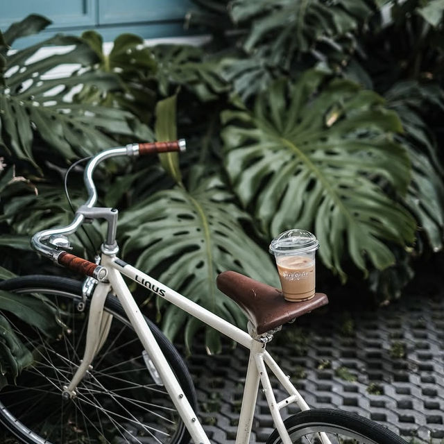 Deep Green Coffee and Matcha