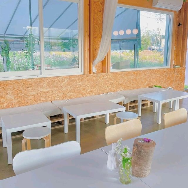 Memile Lounge