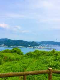【鎌倉　光明寺　材木座で蓮のお庭と動物供養塔を拝観する　】