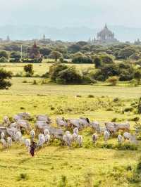 Myanmar Summer Odyssey: Temples, Trains & Golden Sunsets