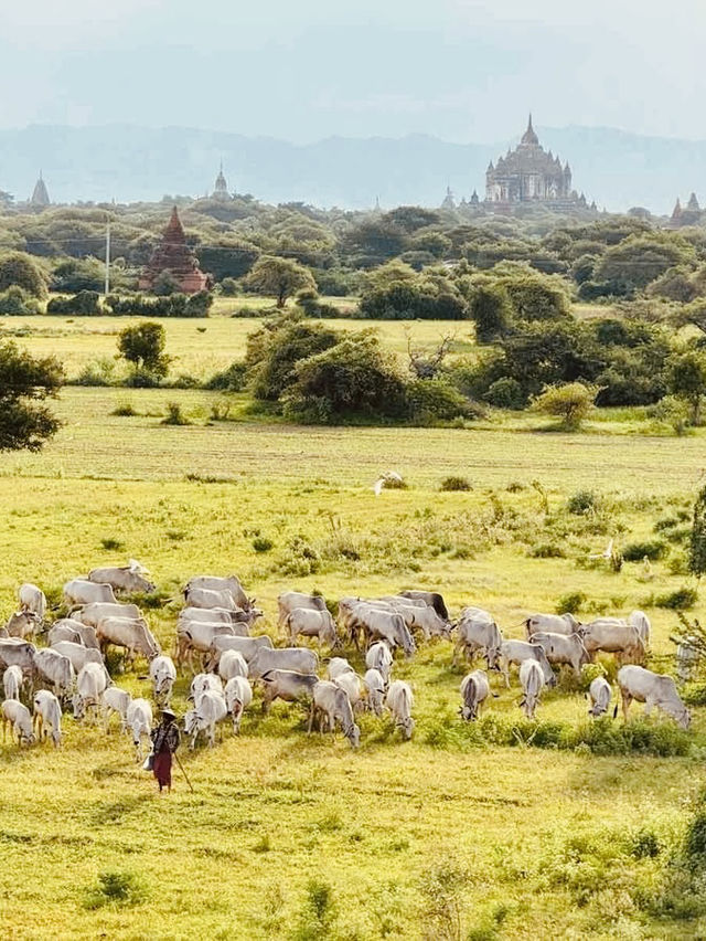 Myanmar Summer Odyssey: Temples, Trains & Golden Sunsets