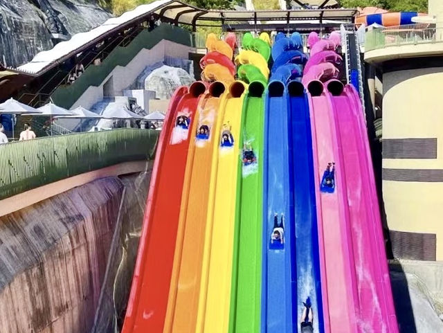 清涼一夏必去！海洋公園水上樂園，帶你暢玩濕身狂歡 🎉