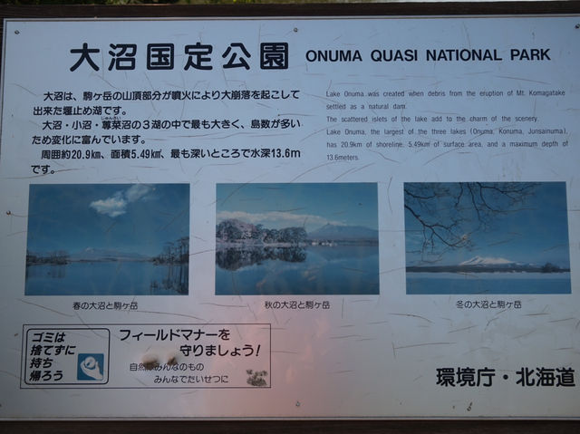 大沼國定公園_靜謐的大湖泊