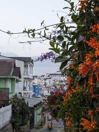 Da Lat: The City of Eternal Spring and Mountain Cool! 🇻🇳🏡