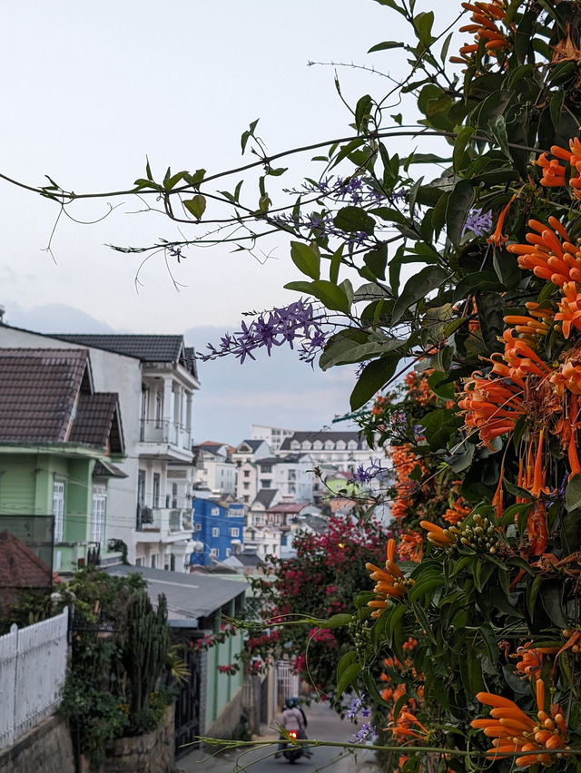 Da Lat: The City of Eternal Spring and Mountain Cool! 🇻🇳🏡