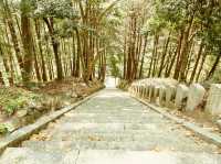 ⛩️ Solo Spiritual Climb: Kagamiyama Grand Shrine – A Hidden Summit Sanctuary