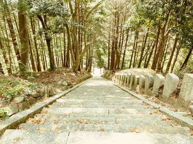 ⛩️ Solo Spiritual Climb: Kagamiyama Grand Shrine – A Hidden Summit Sanctuary