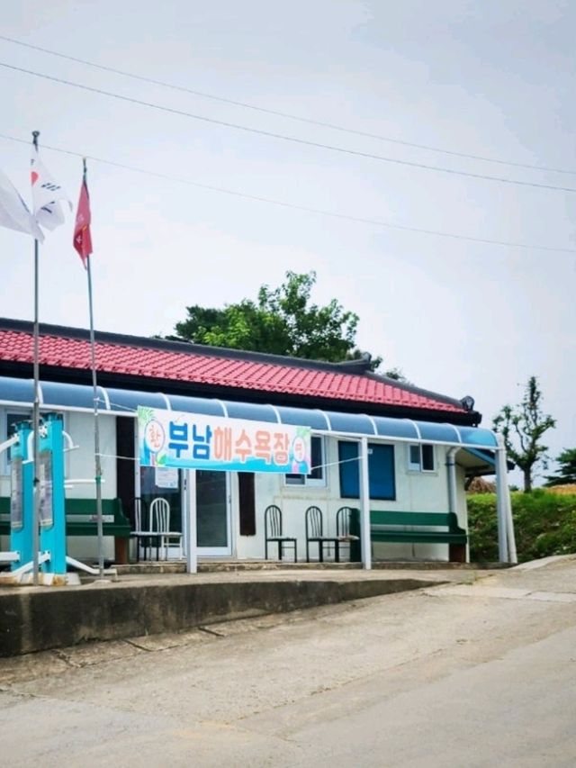 신비로운 삼척바다💙부남해수욕장