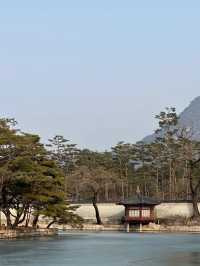 Gyeongbokgung Palace- Amazing experience 