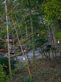 🏯京都・東山｜パークハイアット京都で味わう、静寂と美の極上ステイ✨