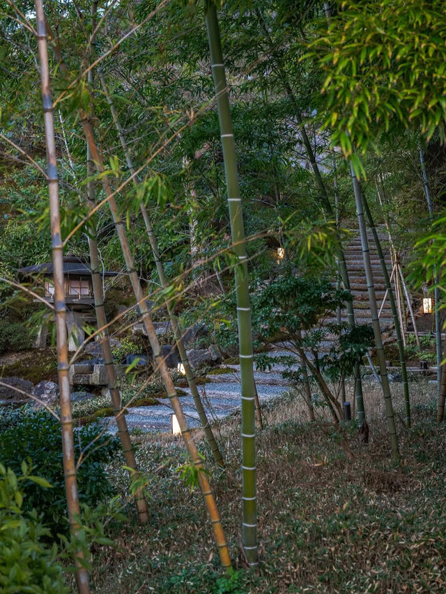 🏯京都・東山｜パークハイアット京都で味わう、静寂と美の極上ステイ✨