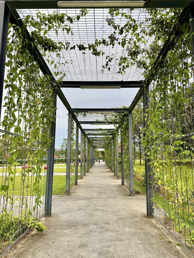 City Green Escape: Where KL Slows Down at Taman Pudu Ulu