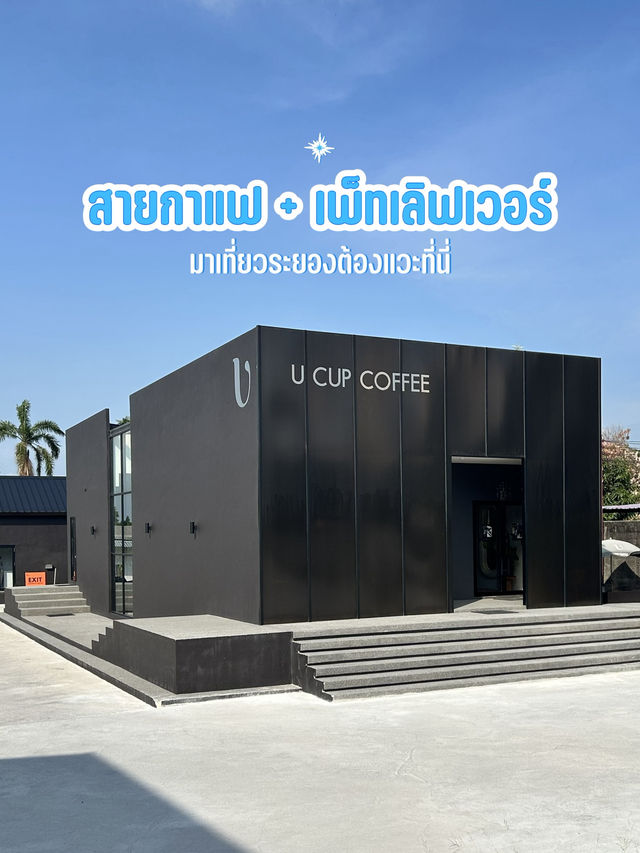 🐶สายคาเฟ่ + เพ็ทเลิฟเวอร์ ต้องไป U Cup Maptaphut☕️