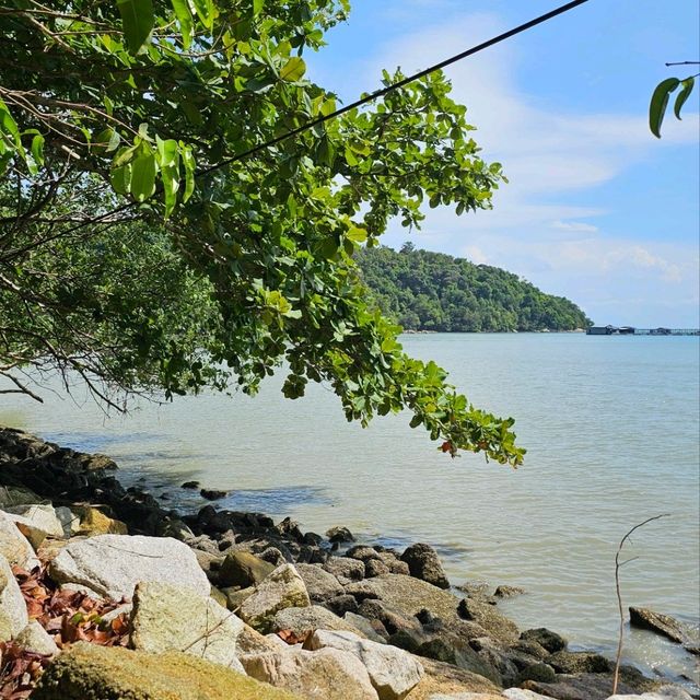 Discover Pantai Kerachut: A Hidden Gem in Penang National Park