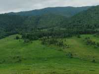 Hemu: A Serene Painting of Verdant Valleys