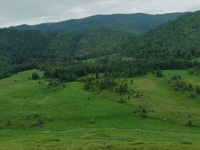 Hemu: A Serene Painting of Verdant Valleys