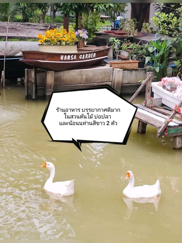 🪿 : Hansa cafe.food.garden ร้านอาหาร ฟีลกู๊ด
