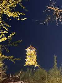 Neon & Numinous: Surviving Dujiangyan’s Demon Bridge At Dusk