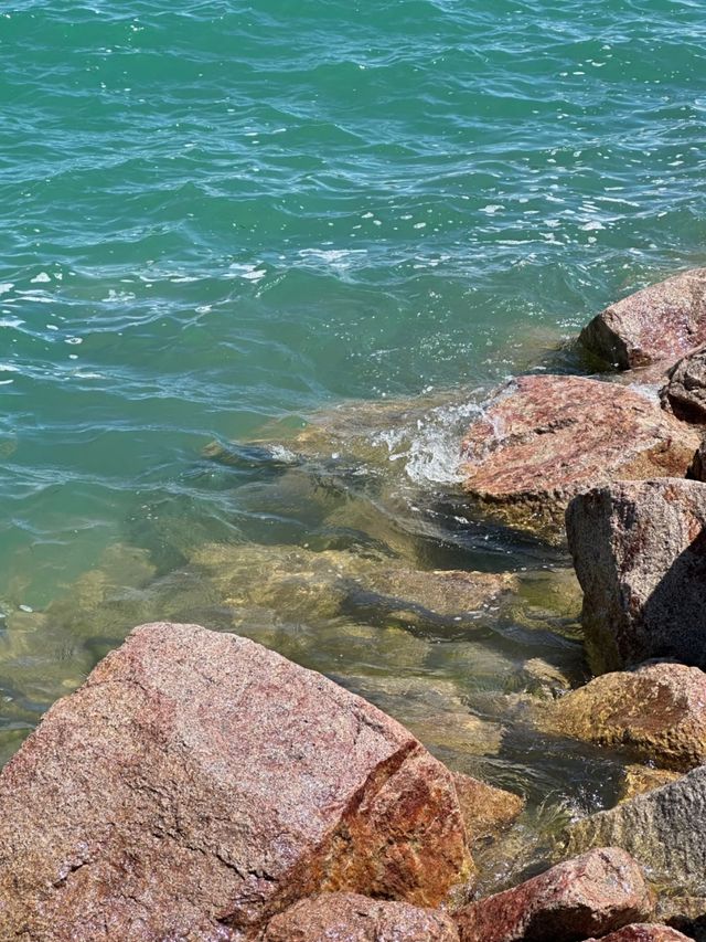 The Heart of the Plateau: Qinghai Lake Unveiled