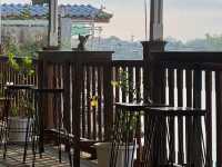 Pathumthani City of lotus
