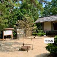 【おんせん県おおいた】潮風を感じて参拝【八幡奈多宮】こんなロケーション珍しいのでは？