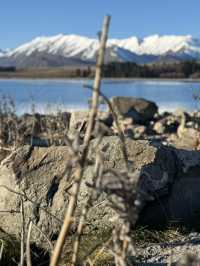 Tekapo - Lake, Dog statue & Church 