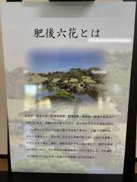 熊本水前寺成趣園-肥後六花