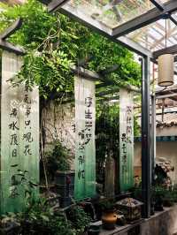 ☕ Hidden Rooftop Teahouse in Xi’an That Feels Like a Beijing Hutong