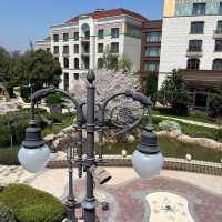 🏰 Staying at Shanghai Disneyland Hotel – Where Magic Begins Before the Park!