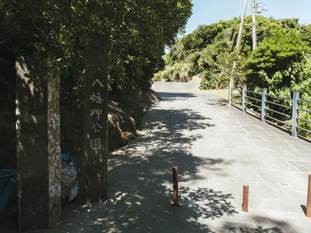 【千葉】太平洋を望む美しい「八幡岬公園」